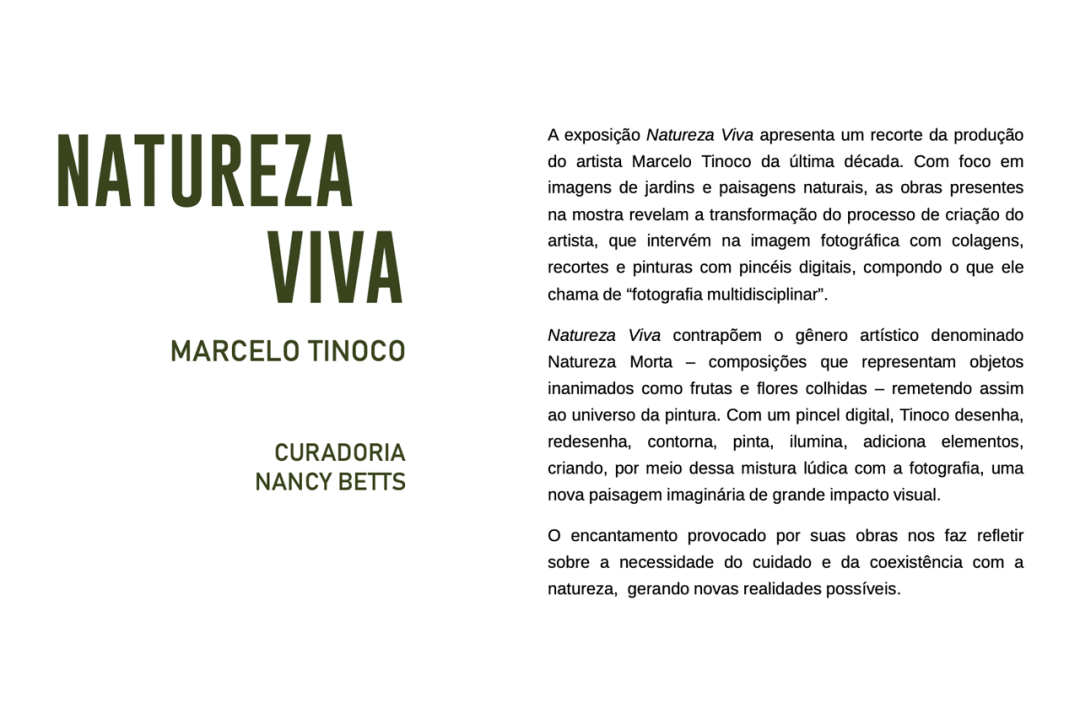 natureza-viva_02